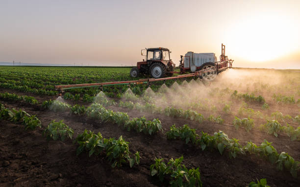 Best Pest Inspection Near Me  in Mojave, CA