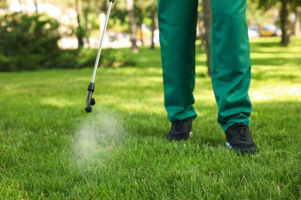 Best Affordable Pest Control Services  in Mojave, CA
