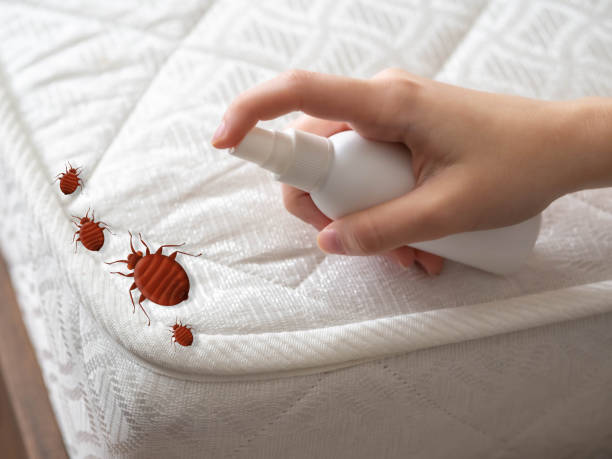 Best Exterminator Services  in Mojave, CA